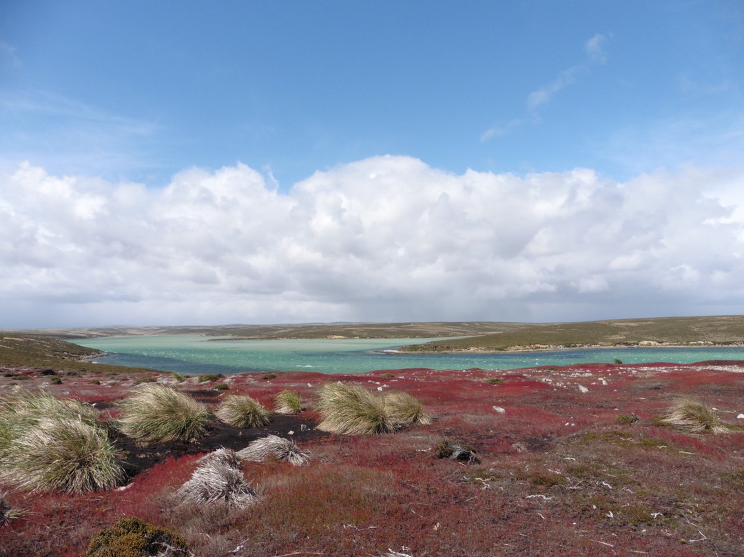 Elephant Beach Farm-East Falkland必去景点
