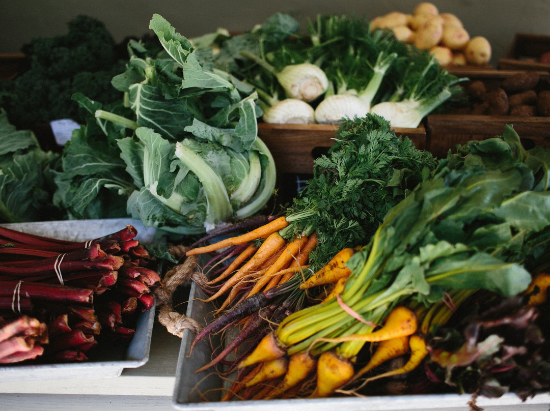 The Loch Farm Stall-Berrima必去景点