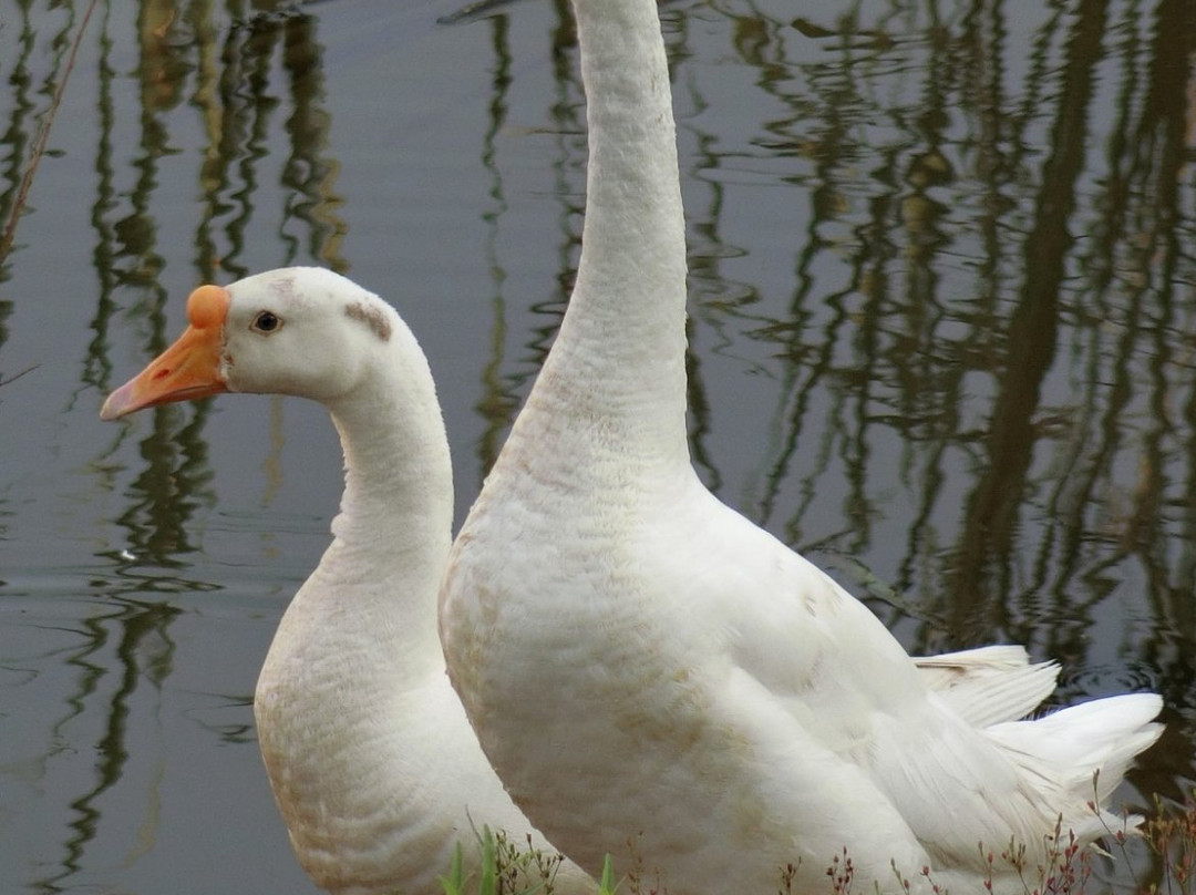 陶渊明宾馆主图
