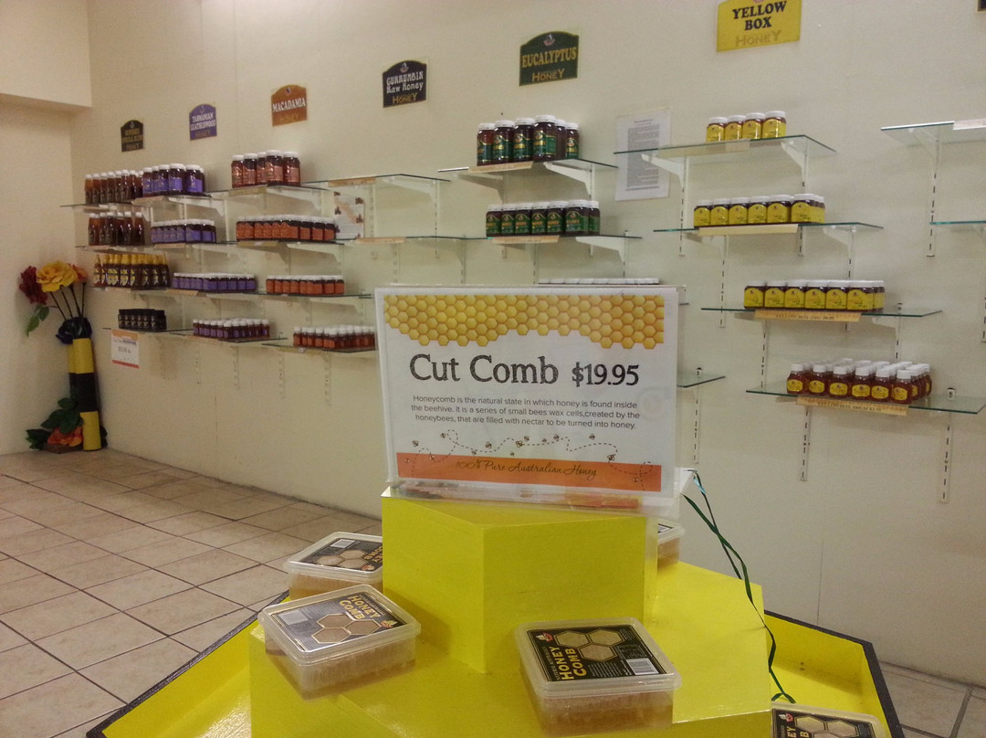 超极蜜蜂博物馆-可伦宾必去景点