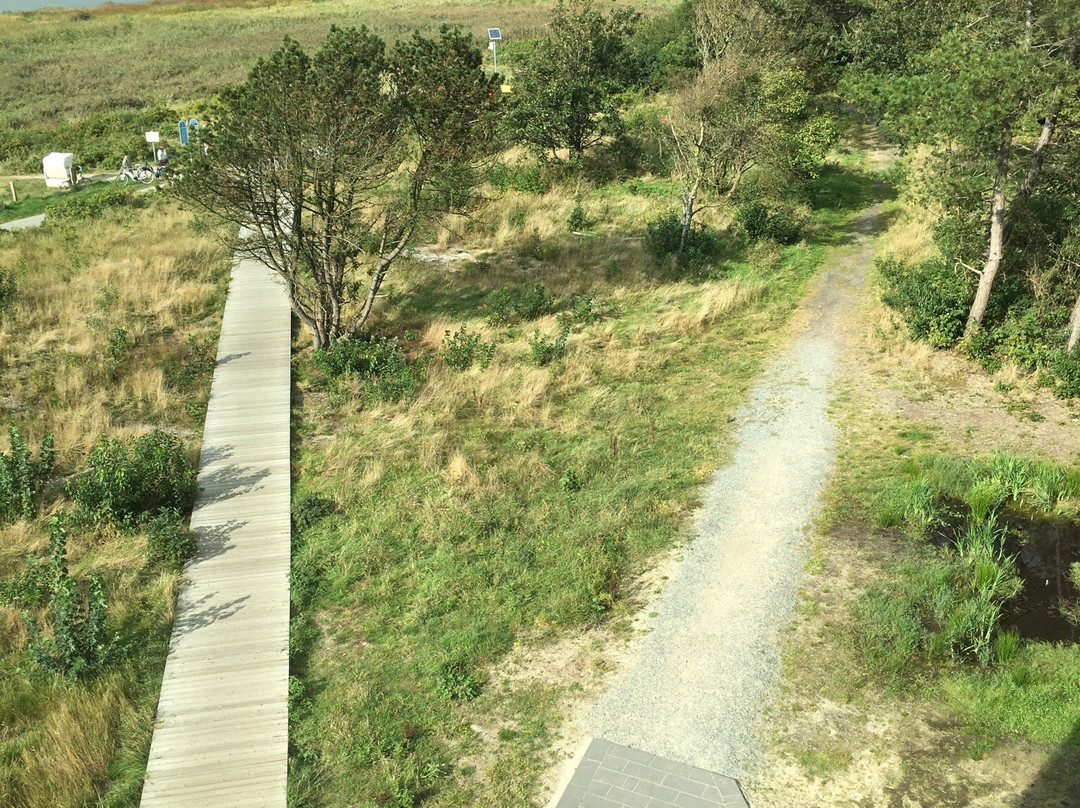 Wattenmeer Besucherzentrum-库克斯港县必去景点