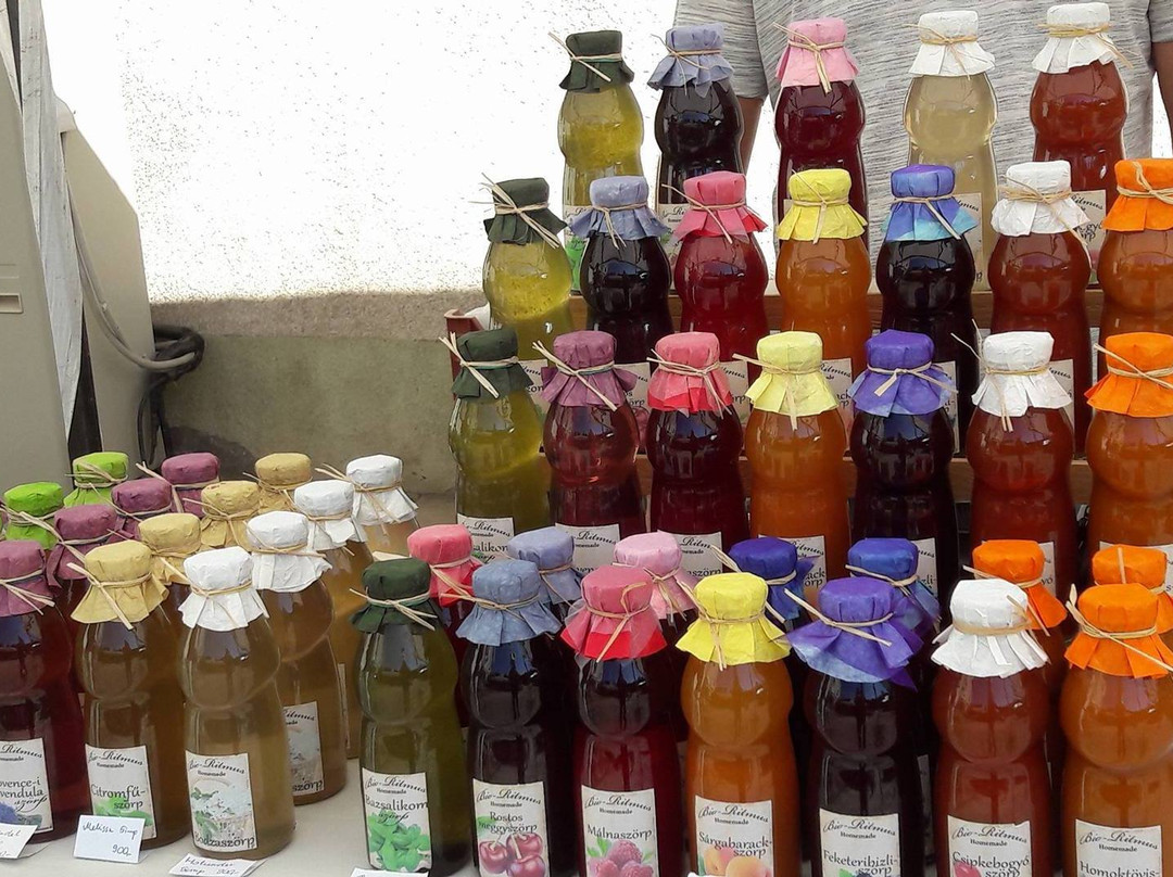 Ostffyasszonyfa旅游攻略图片