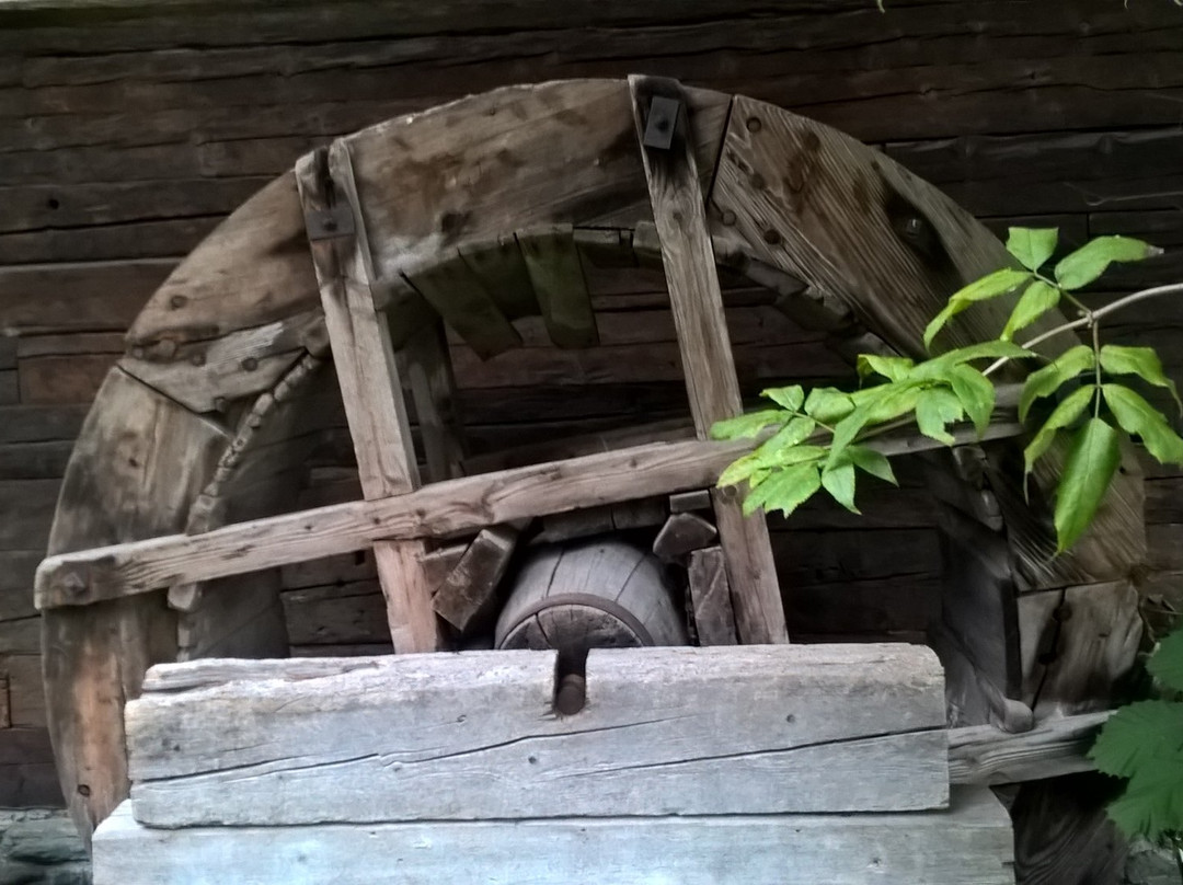Felberturm Museum-米特西尔必去景点