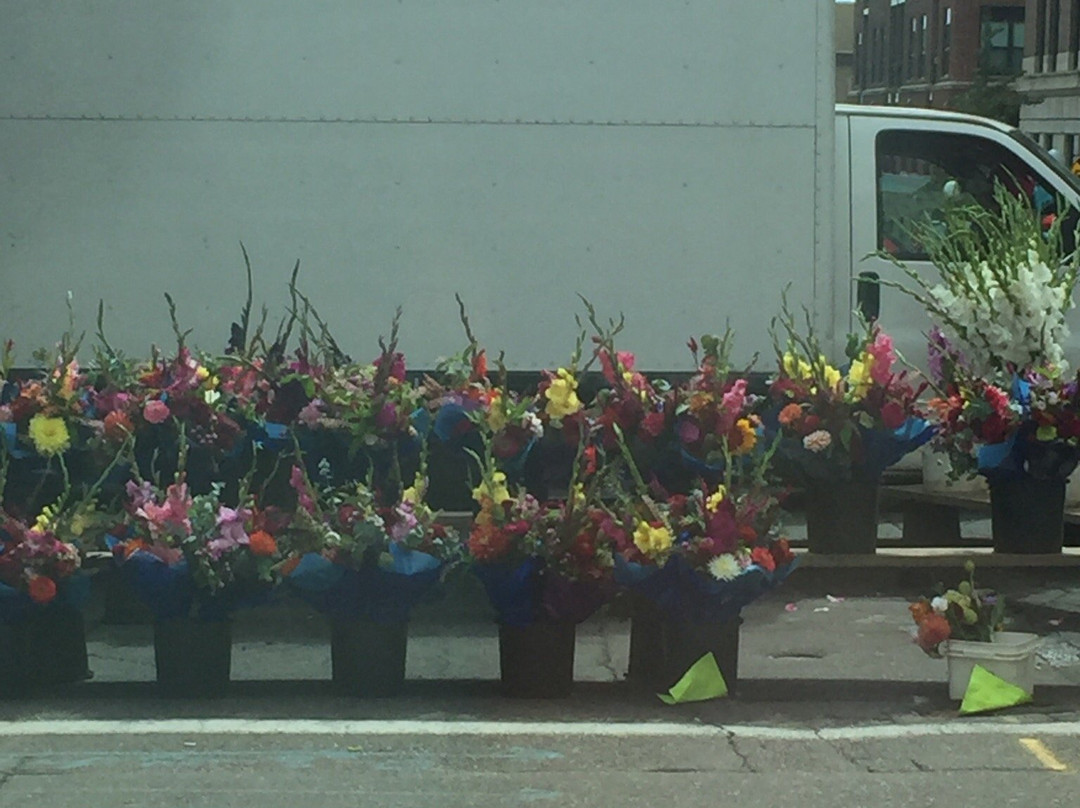 St. Paul Farmers Market-圣保罗必去景点