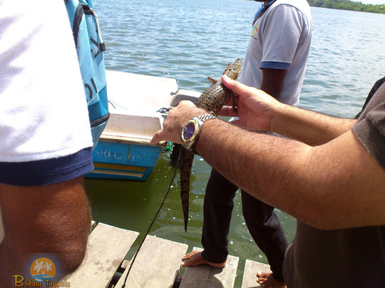 Bobby Travels-尼甘布必去景点