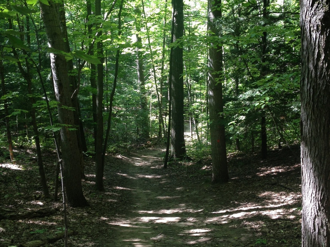 Ardagh Bluffs-巴利必去景点