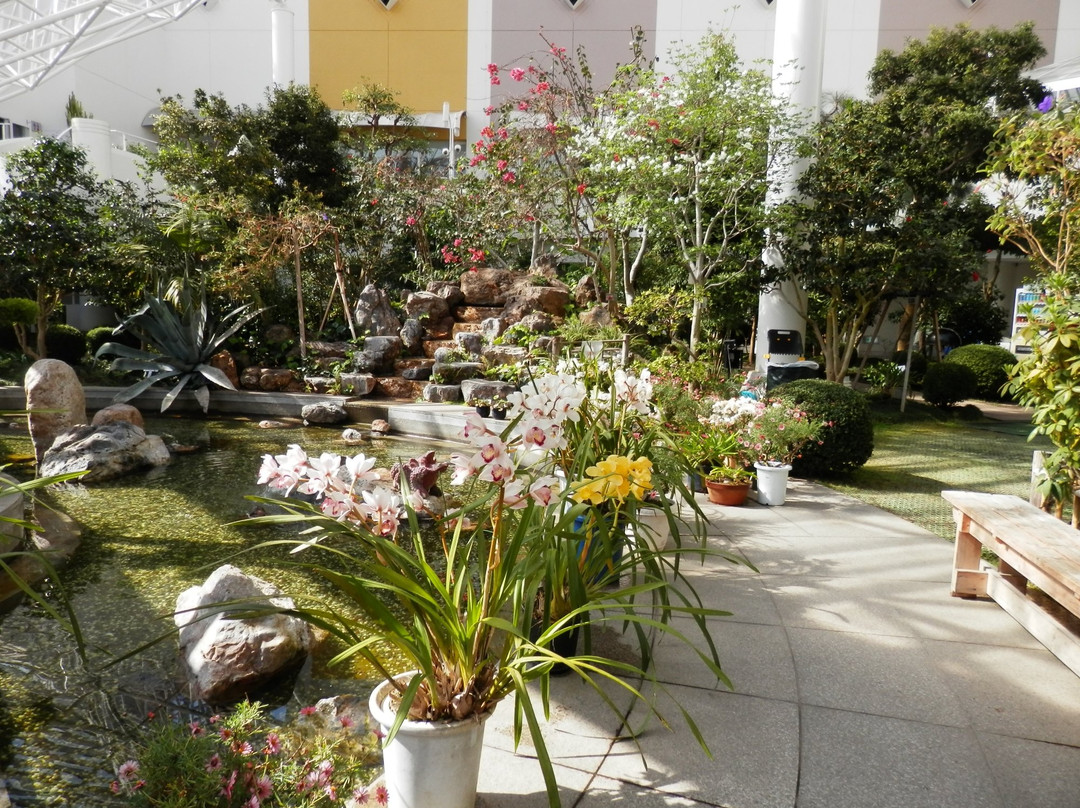 Tomokomai City Sun Garden景点图片