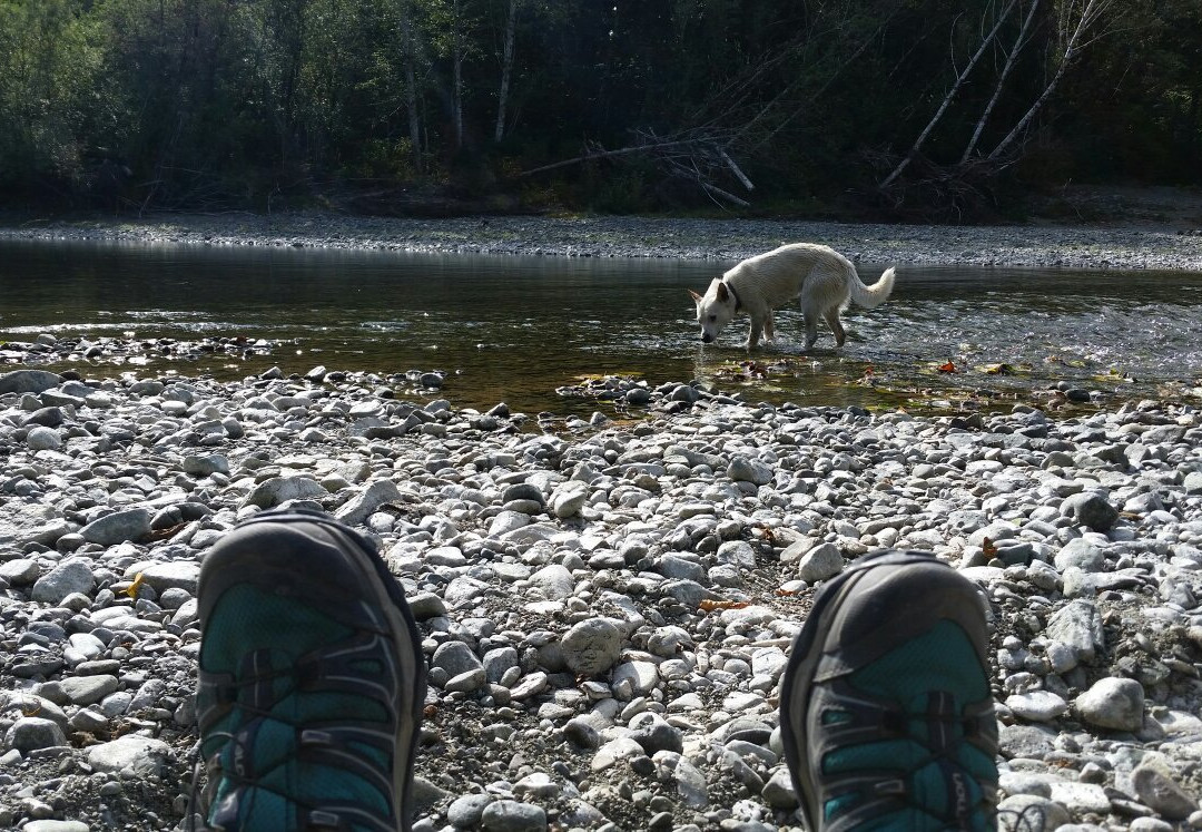 Nitinat River Provincial Park-Honeymoon Bay必去景点