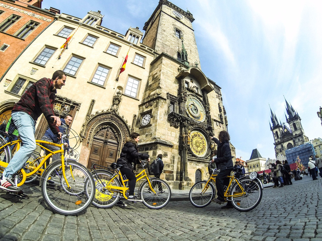 Yellow Zebra Segways & Bikes景点图片