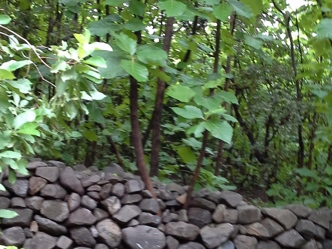 Wellington Dam-居那加德必去景点