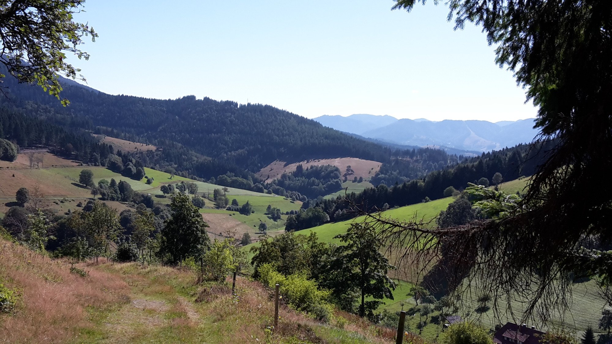 海尔登霍夫格灵莱恩酒店-酒店景观