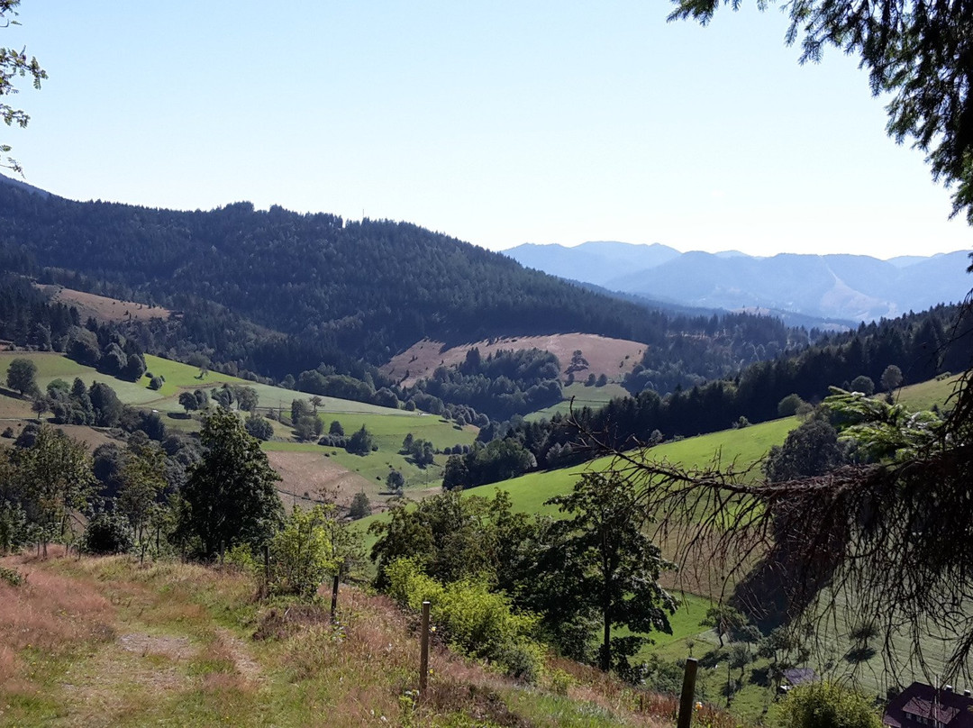 海尔登霍夫格灵莱恩酒店主图