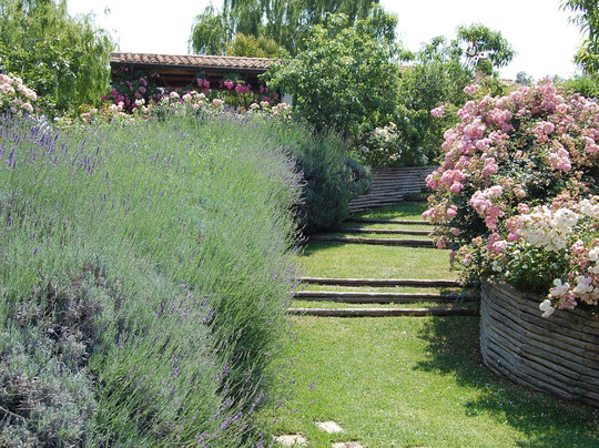 La Capalbiotta主图