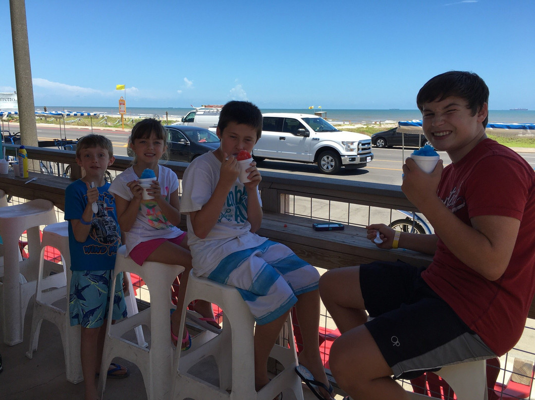 Jungle Surf Rentals-盖维斯顿必去景点