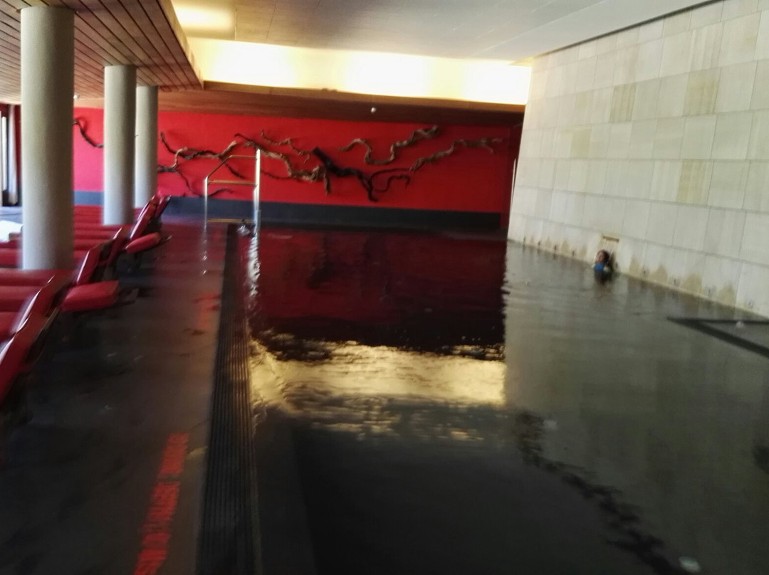 Spa Vinotherapie Caudalie景点图片