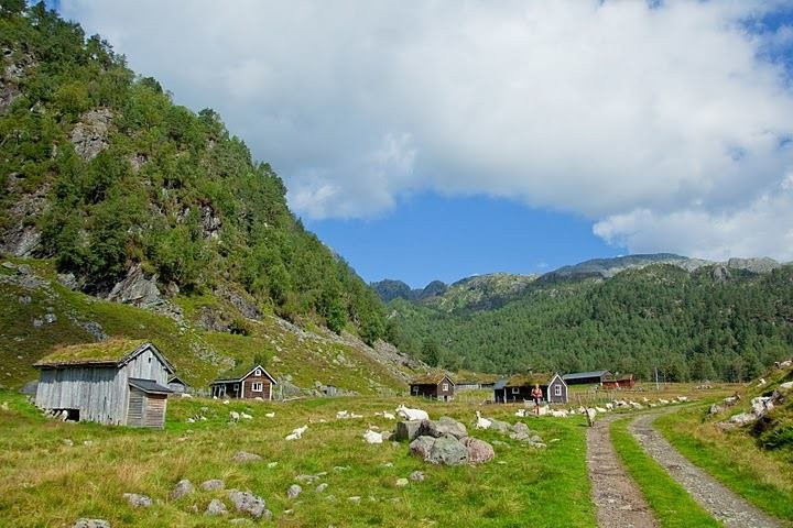 Åkrafjorden Oppleving景点图片