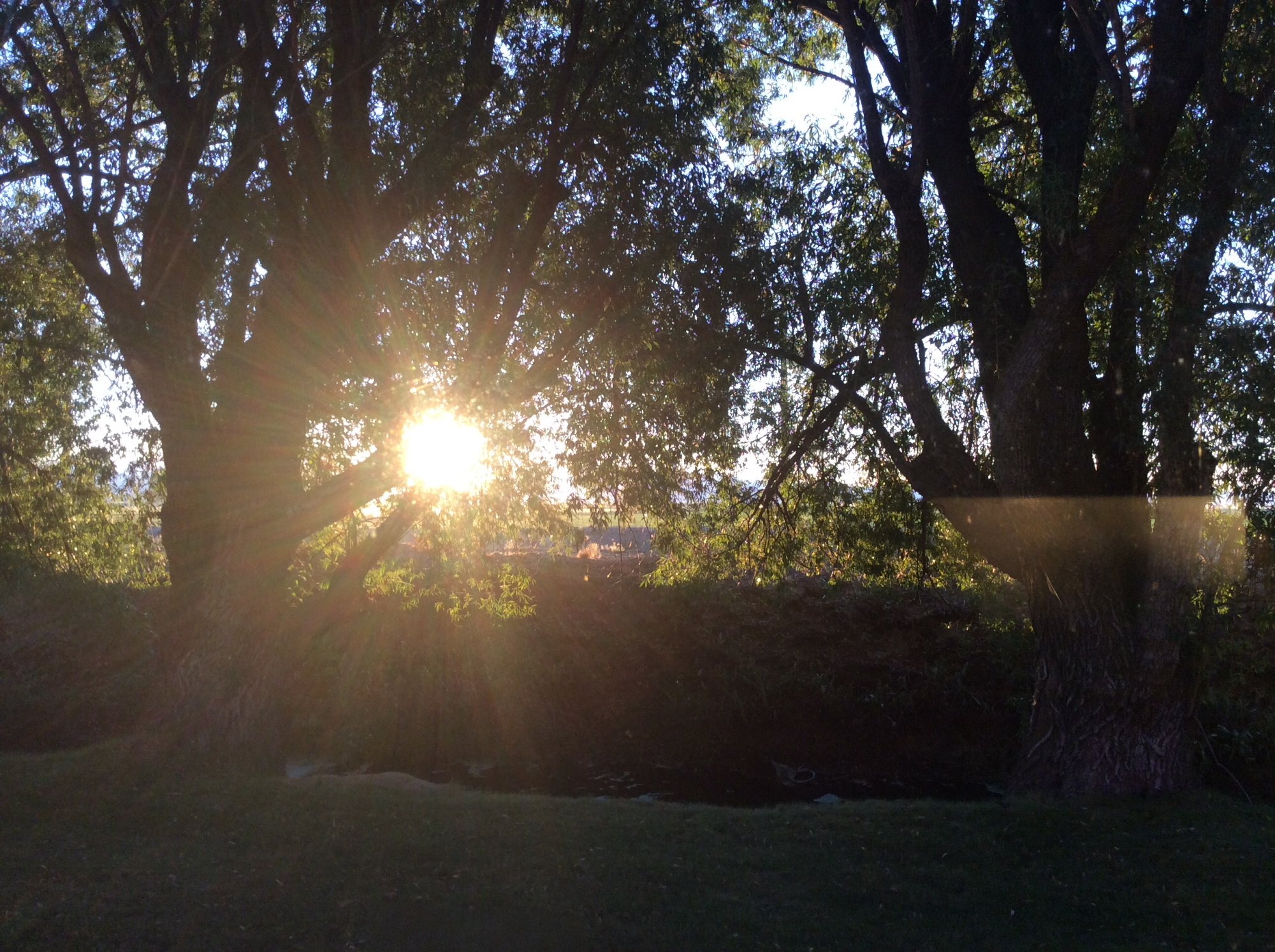 Ellis Motel-酒店景观