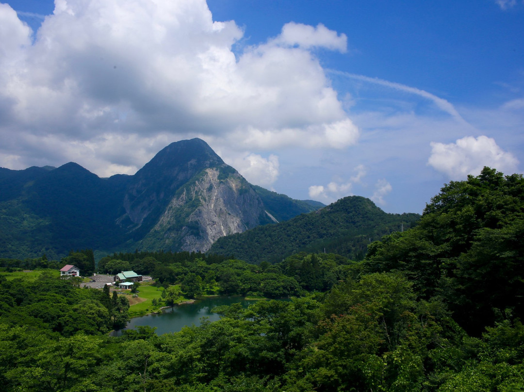 Takanami Pond景点图片