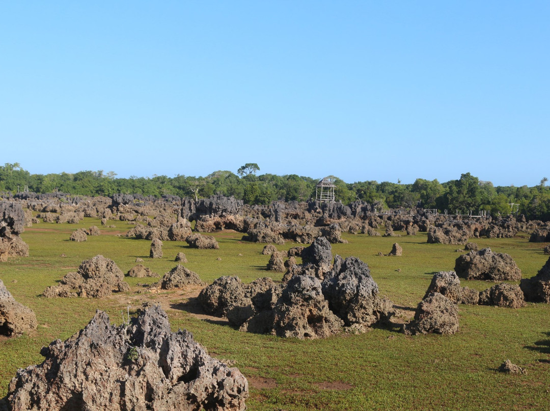 Wasini Womens Group Boardwalk-Wasini Island必去景点