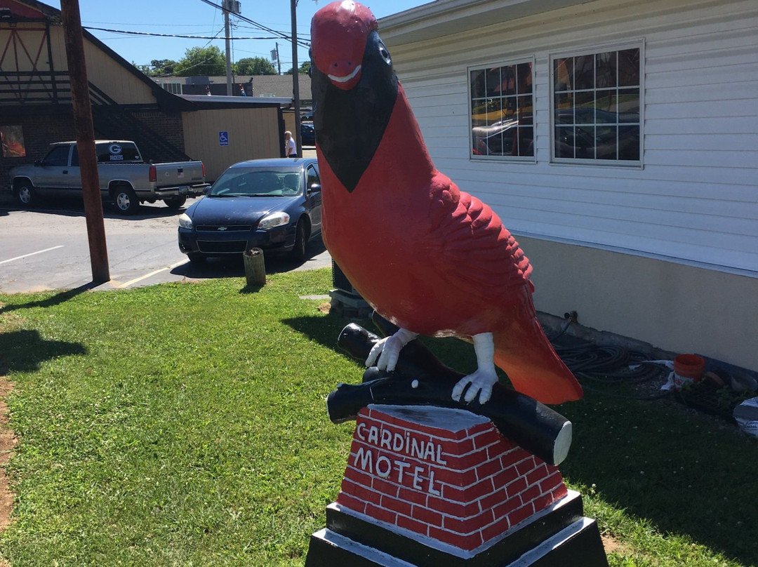 Cardinal Motel主图