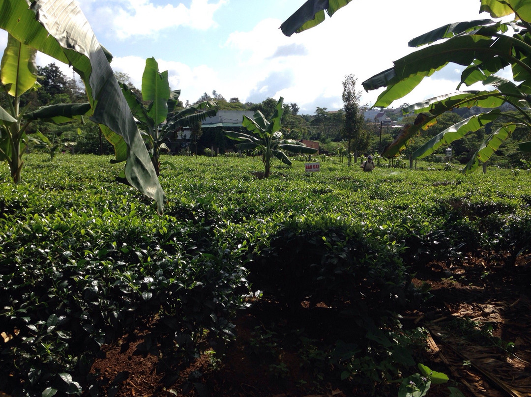 Nha Tho Bao Loc-保禄县必去景点