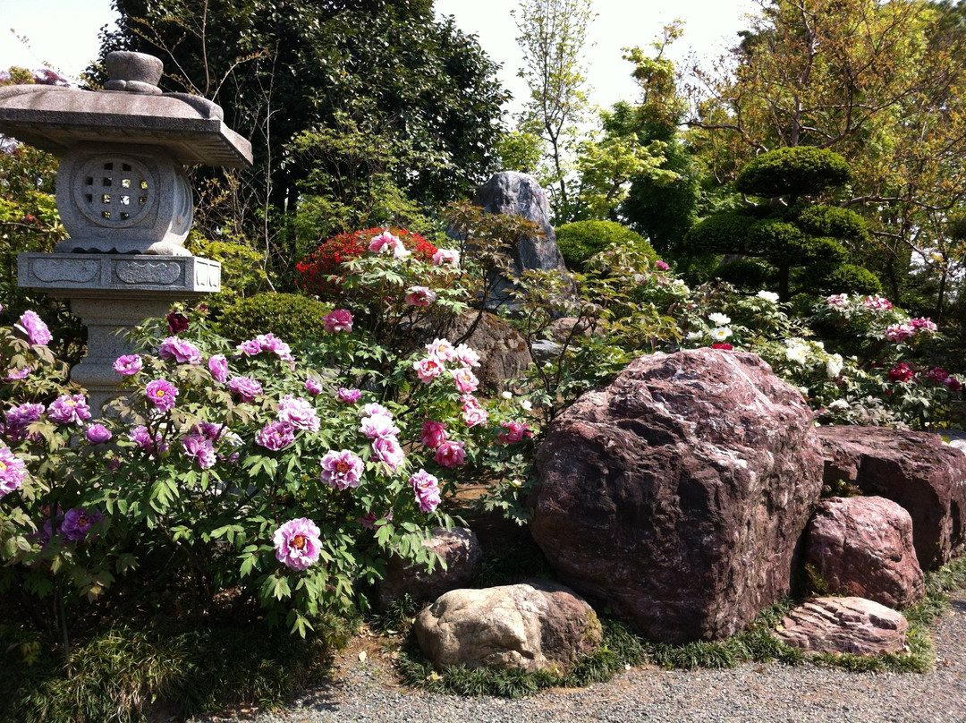 Ryushin-ji Temple景点图片