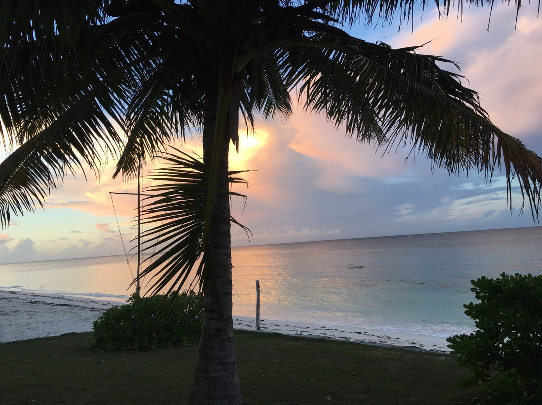 Andros Barrier Reef-Andros必去景点