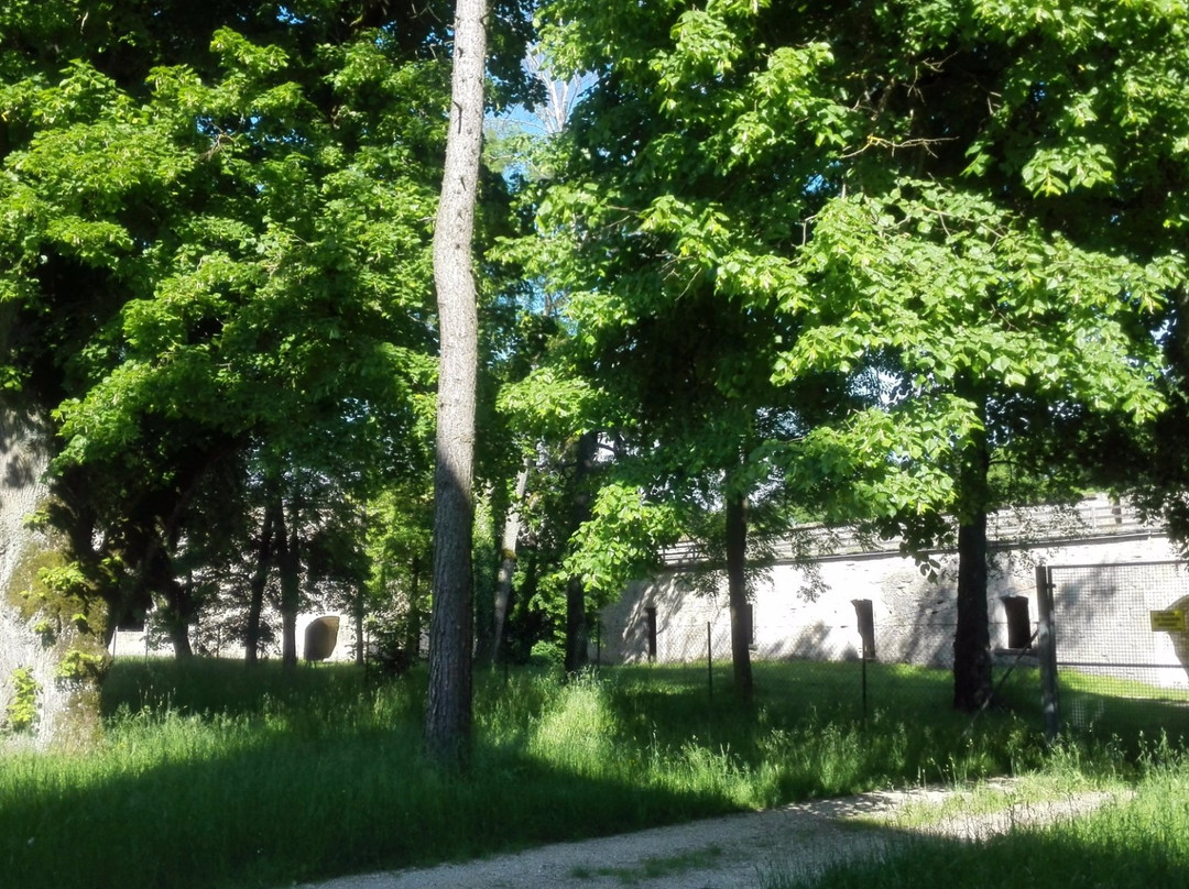 Hohenzollernfestung Wülzburg景点图片