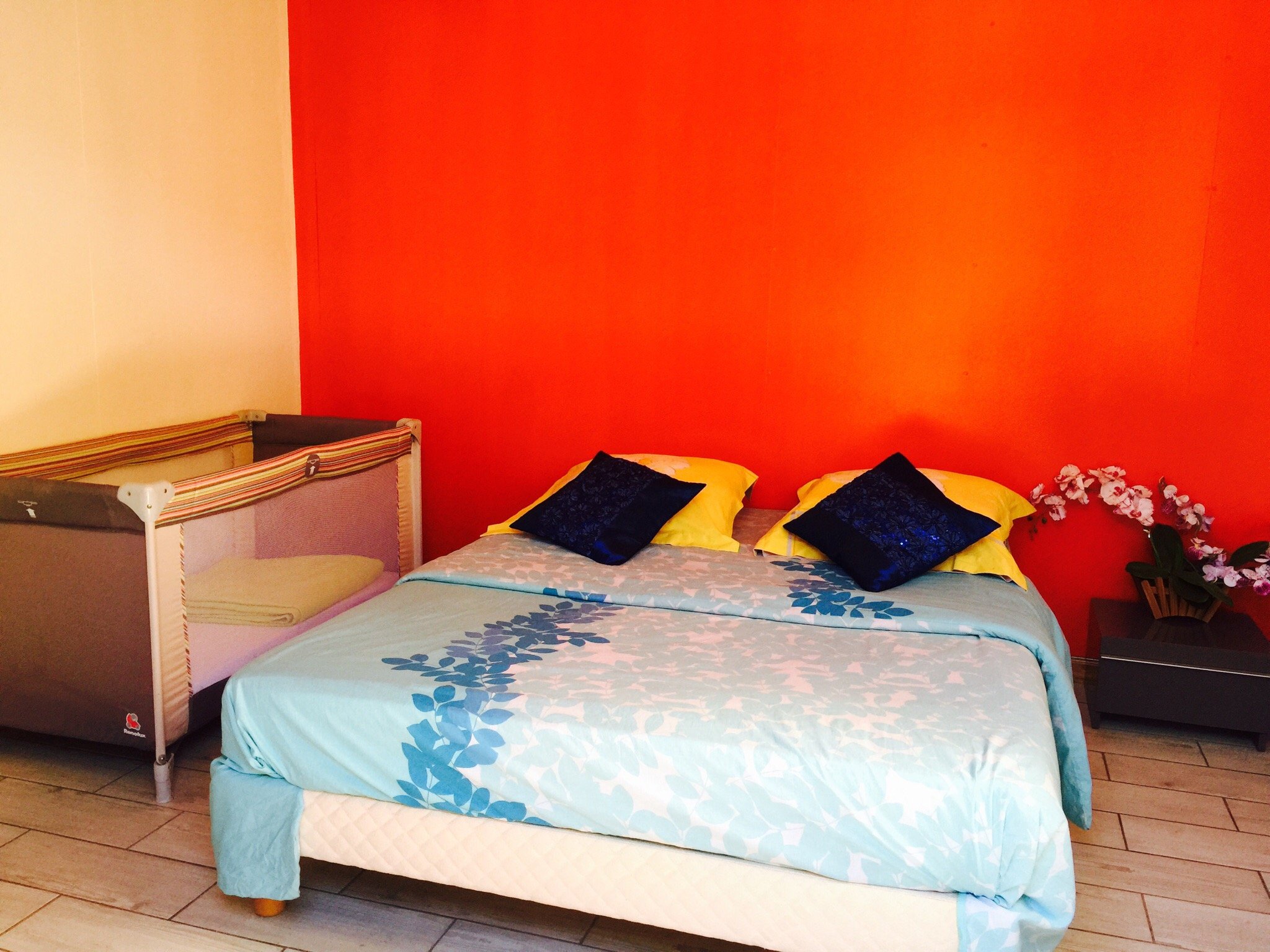 Gite Expedit Orchidee Sauvage-官方
