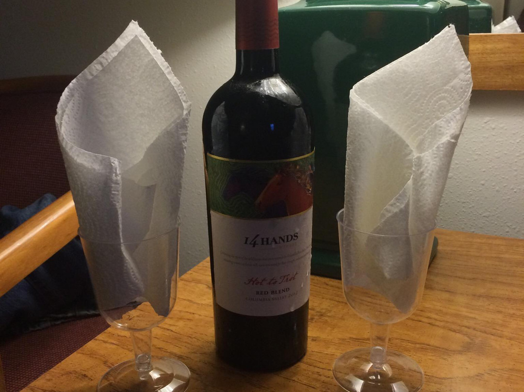 Lakeside Motel Wisconsin Dells主图