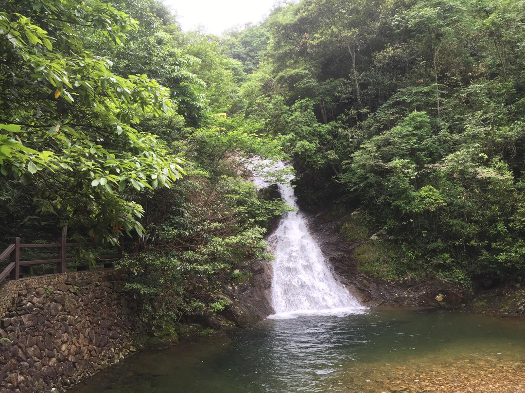 淡竹原始森林-仙居县必去景点