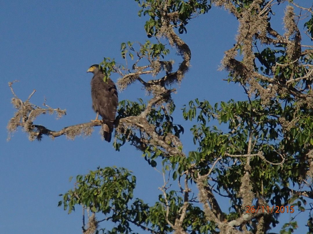 Okanda Devalaya-雅拉国家公园必去景点