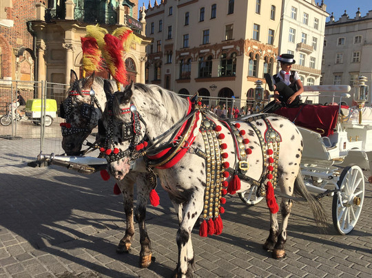 Krakow Guides-克拉科夫必去景点