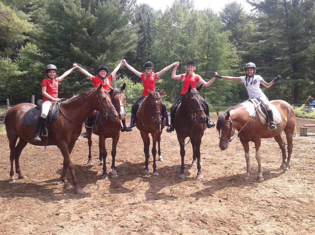 Rocky Top Farm-Bracebridge必去景点
