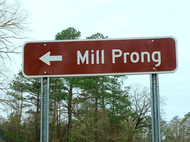 Mill Prong House景点图片