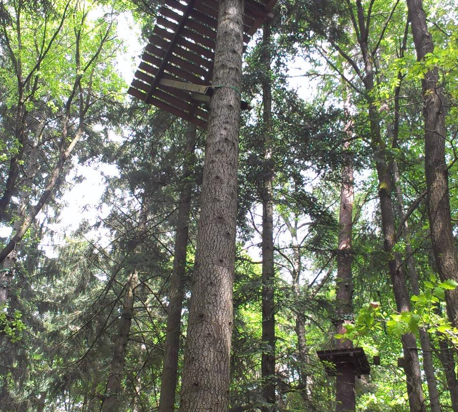 Waldklettergarten Pforzheim景点图片