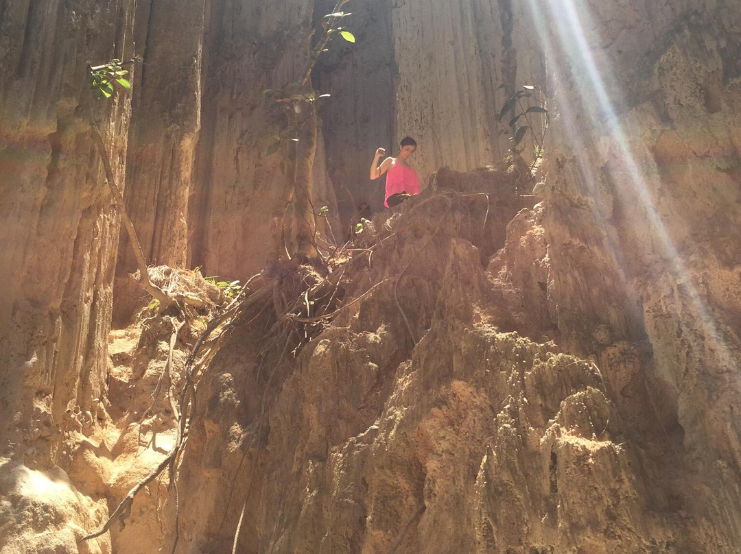 La Playa de Belen酒店住宿-Hotel Tarigua