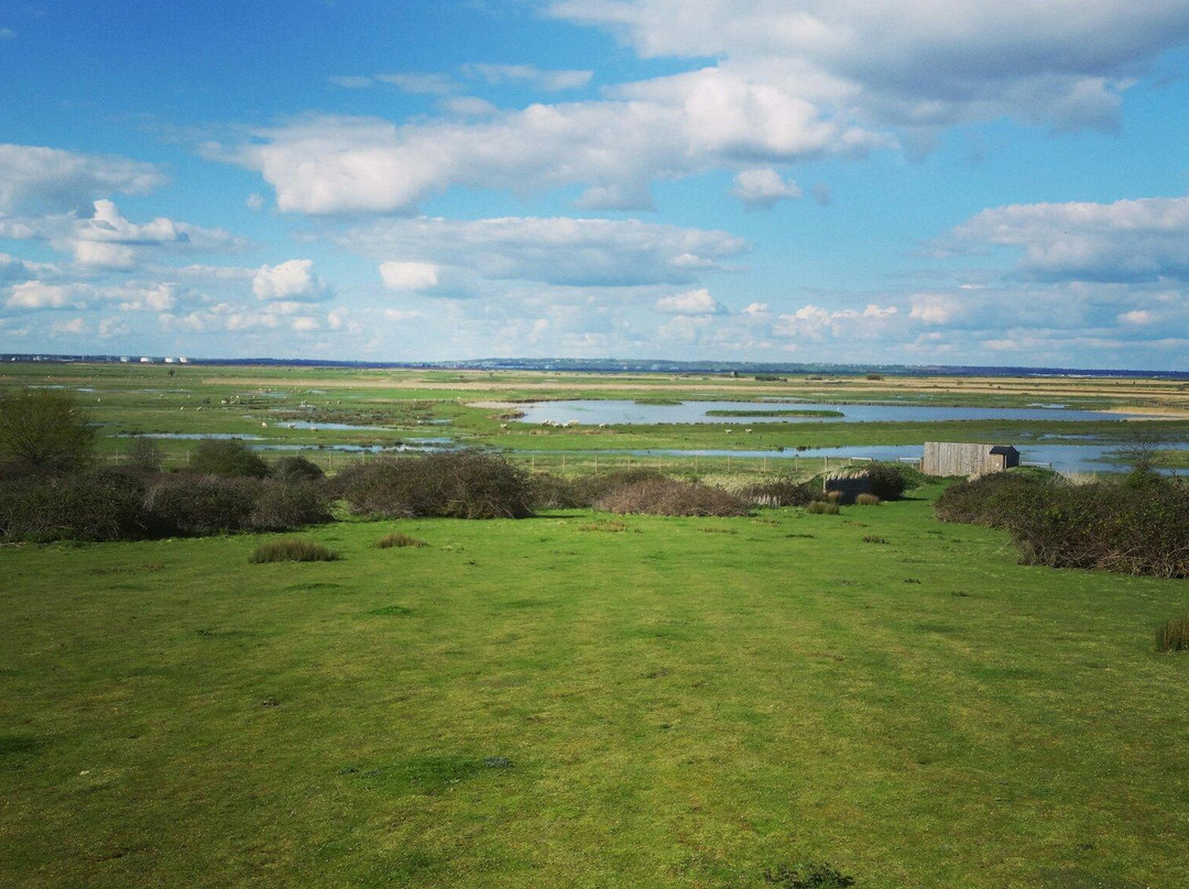 Northward Hill Nature Reserve-Cooling必去景点