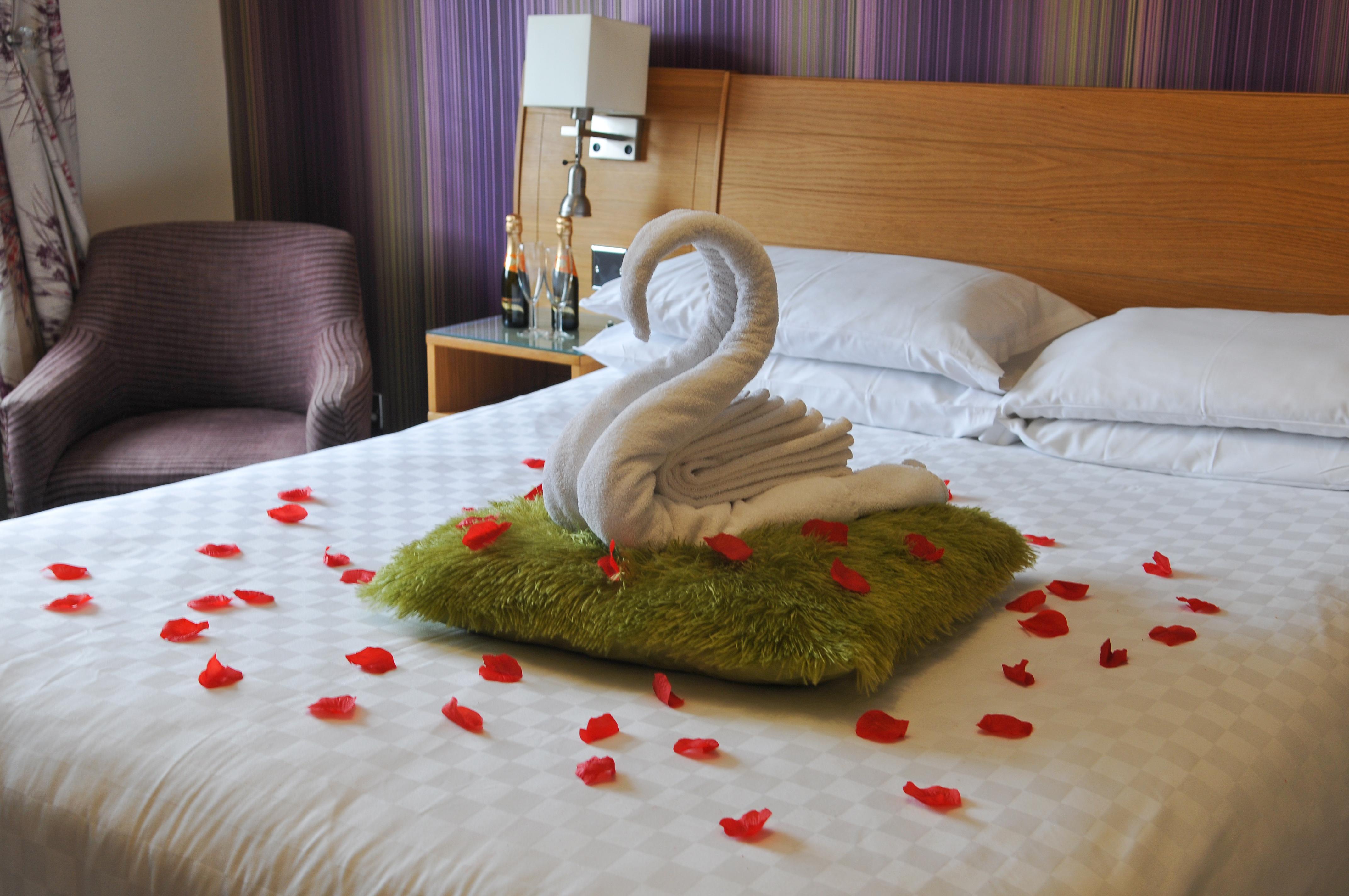 The Stuffed Dormouse Hotel-官方