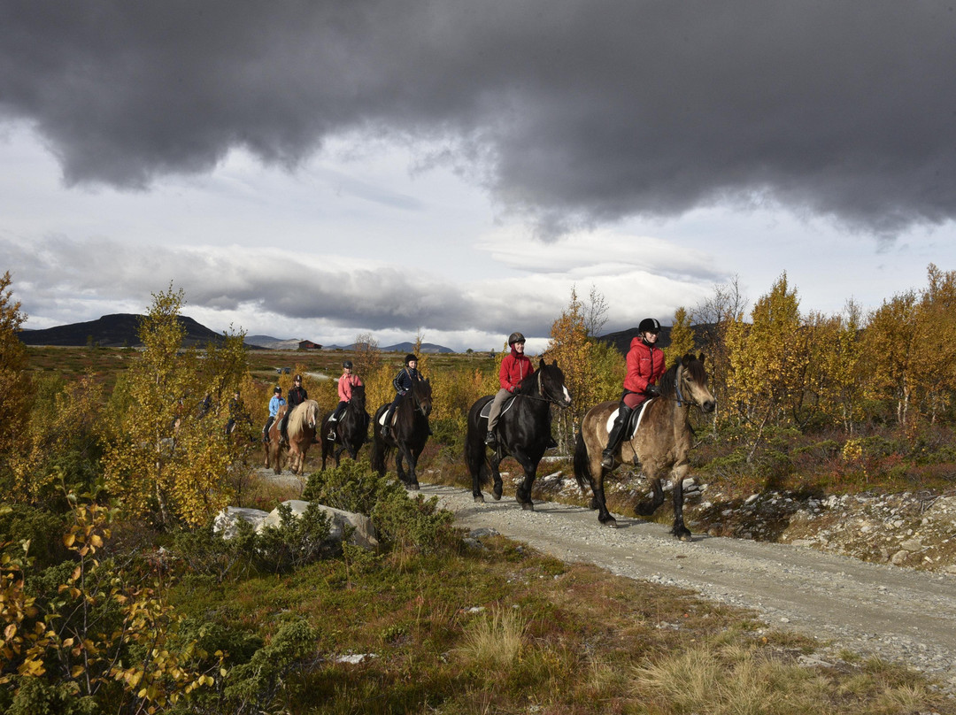 Venabustallen Horse Riding-Venabygd必去景点