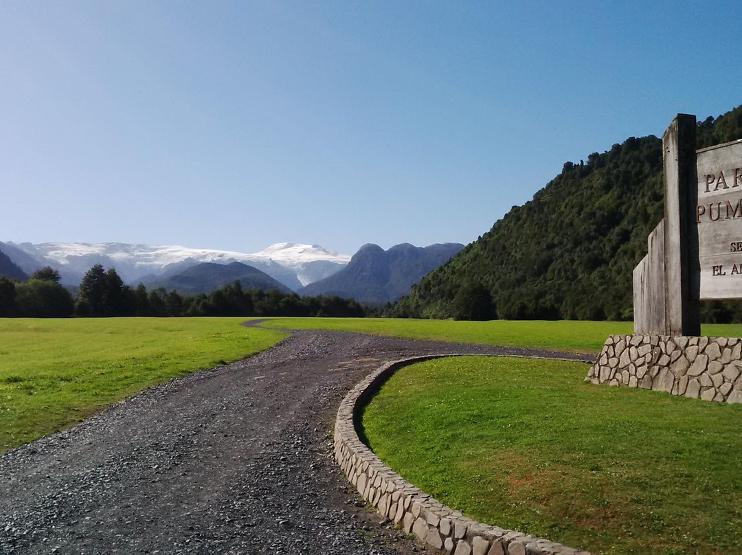 Ventisquero El Amarillo-Chaiten必去景点