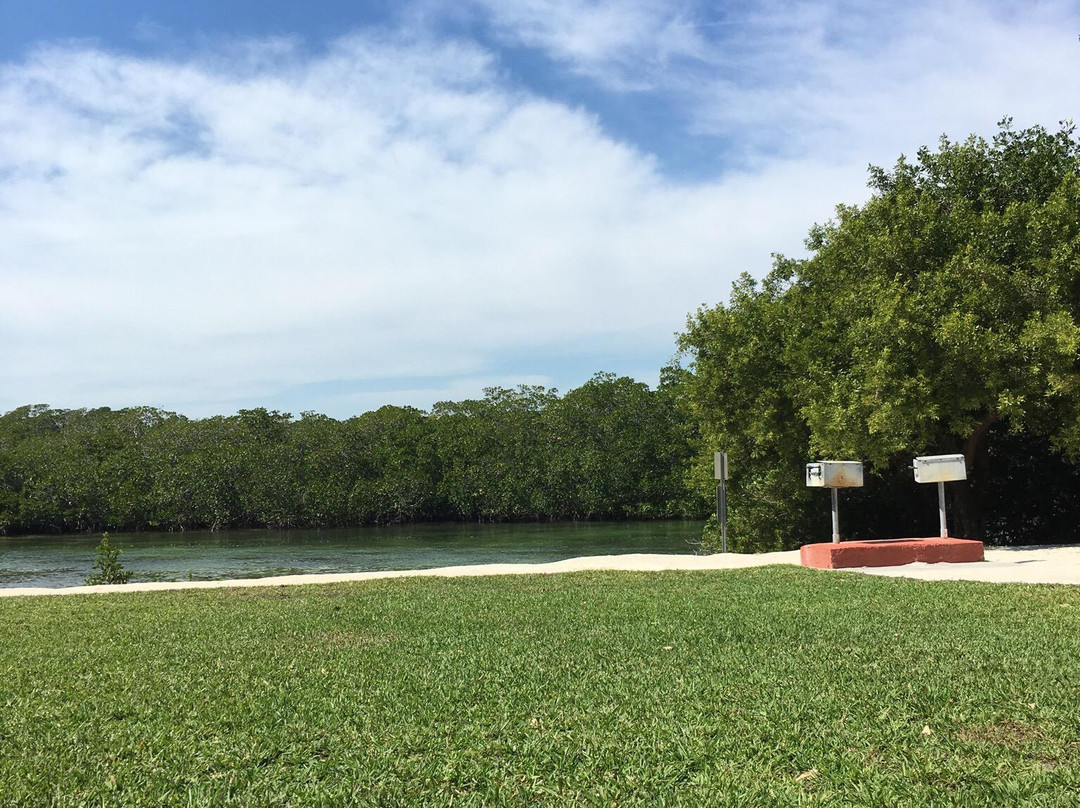 Library Beach Park景点图片