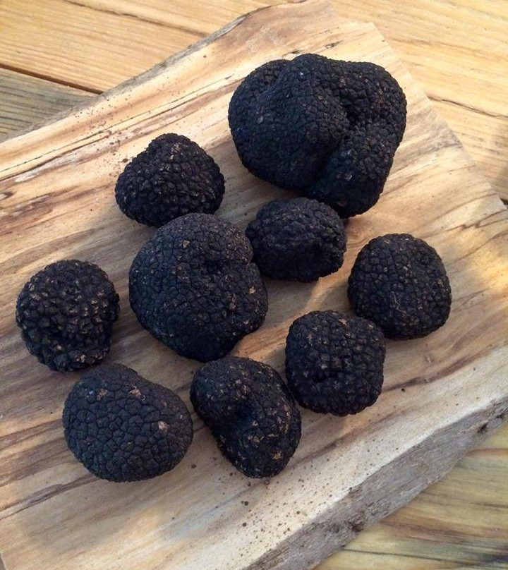 Whistlestop Market-Brevard必去景点