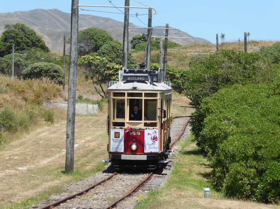 Paekakariki旅游攻略图片