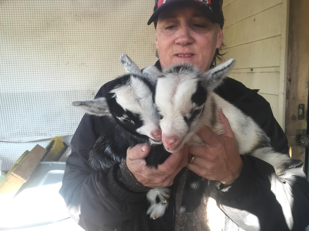 Cypress House Ranch-Bushnell必去景点