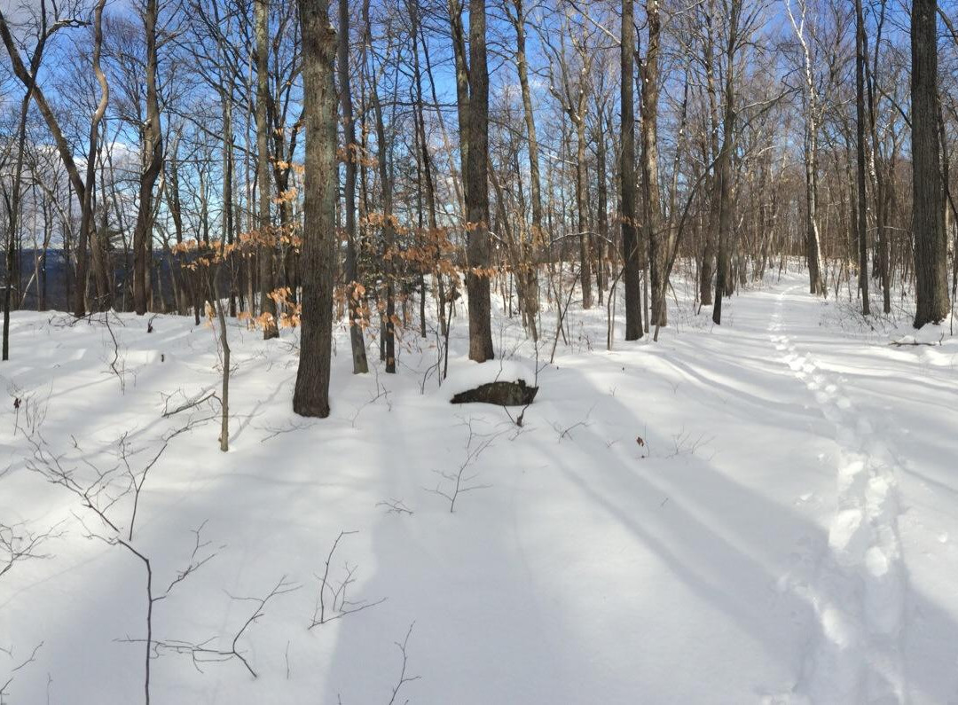 Metacomet-Monadnock Trail-艾姆赫斯特必去景点