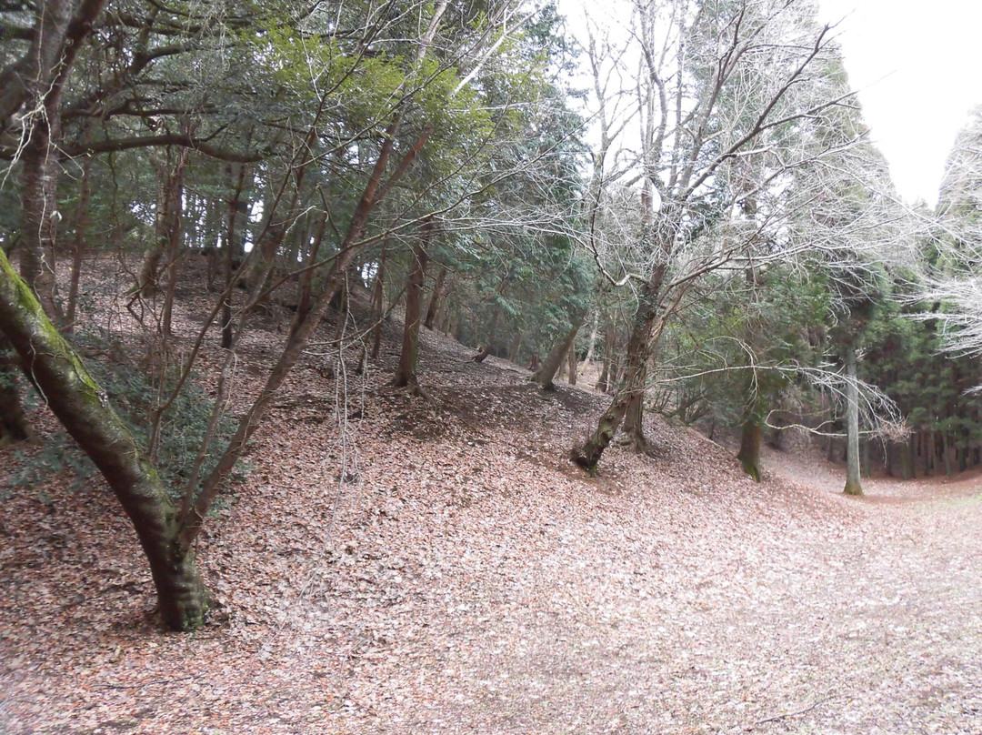 Otsutsumi Gongenzuka Kofun景点图片
