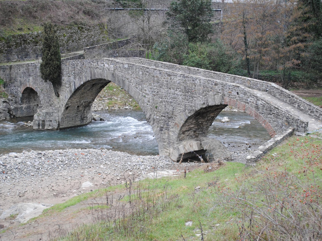 Ponte Di Cerbaia景点图片