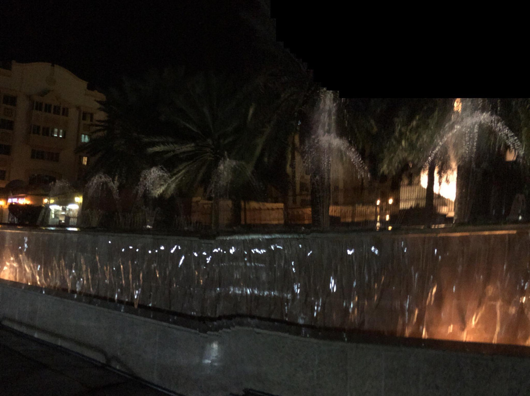 Al Ain City Centre-艾因市必去景点