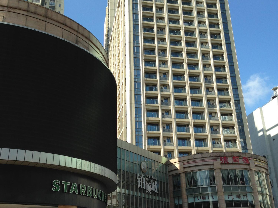 铂顿国际公寓主图